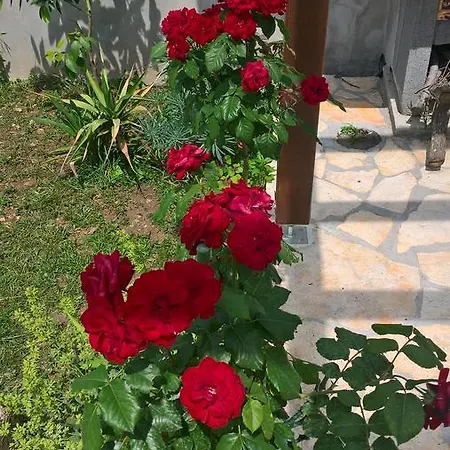 Holiday Arbanase Zadar